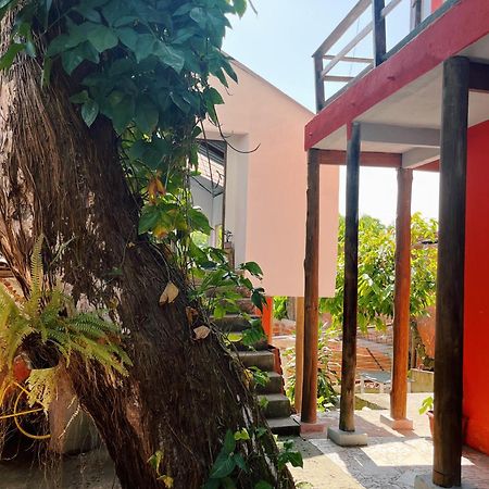 Апартаменты Morada Cacauera Итакаре Экстерьер фото